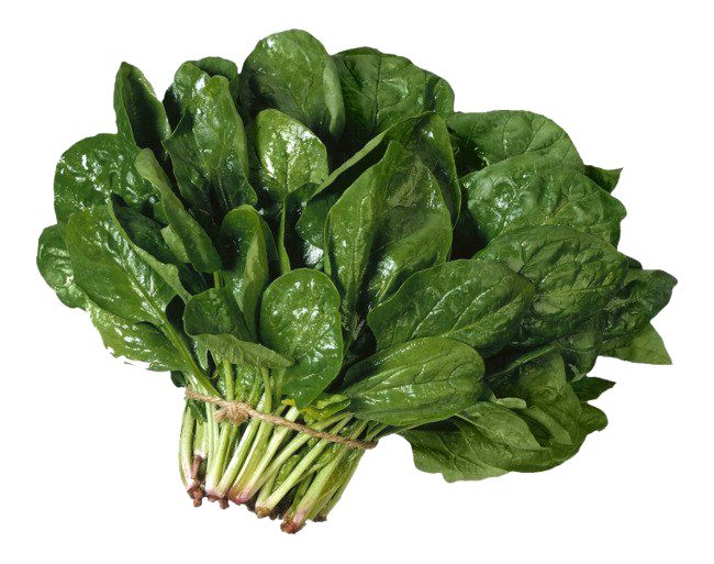 Spinach PNG    图片编号:79179
