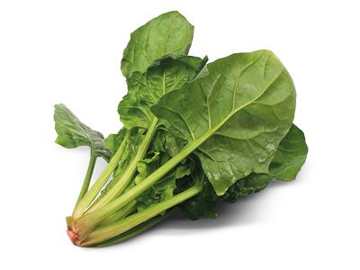 Spinach PNG    图片编号:79128