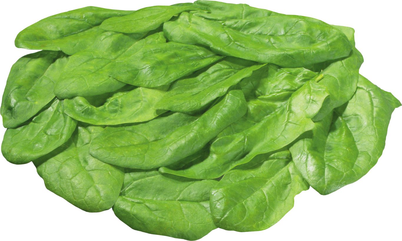Spinach PNG    图片编号:79129