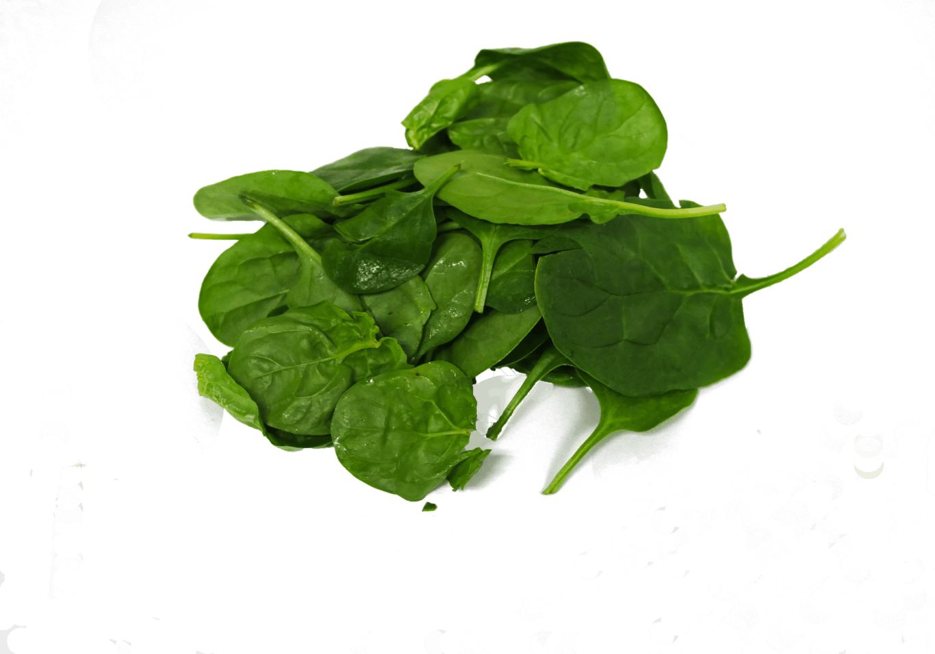 Spinach PNG    图片编号:79195