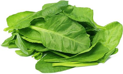 Spinach PNG    图片编号:79131