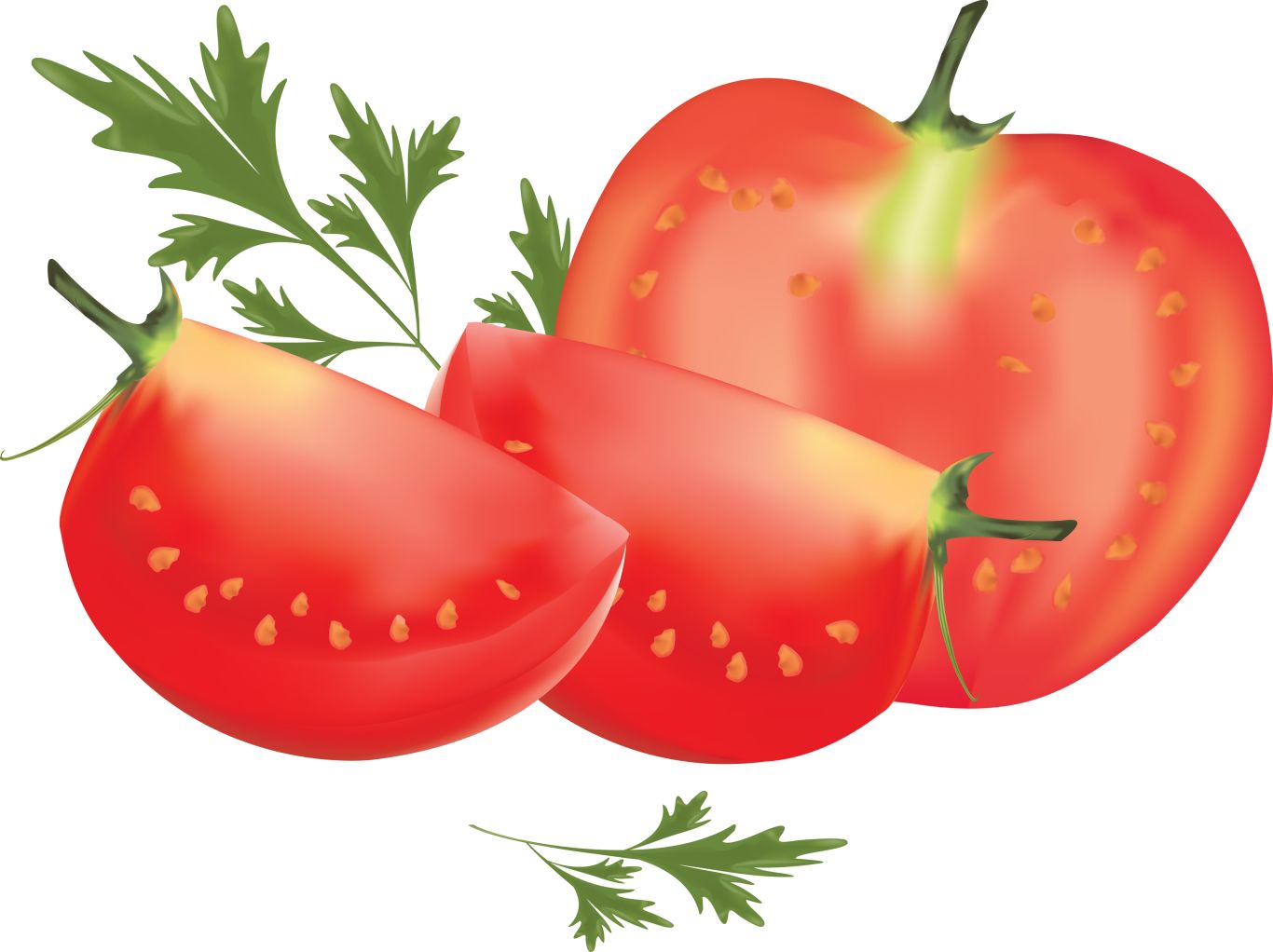 Cutted tomato PNG    图片编号:12534