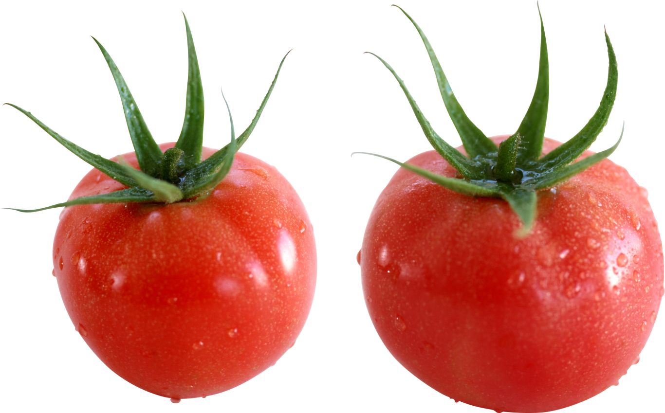 Tomato PNG    图片编号:12535