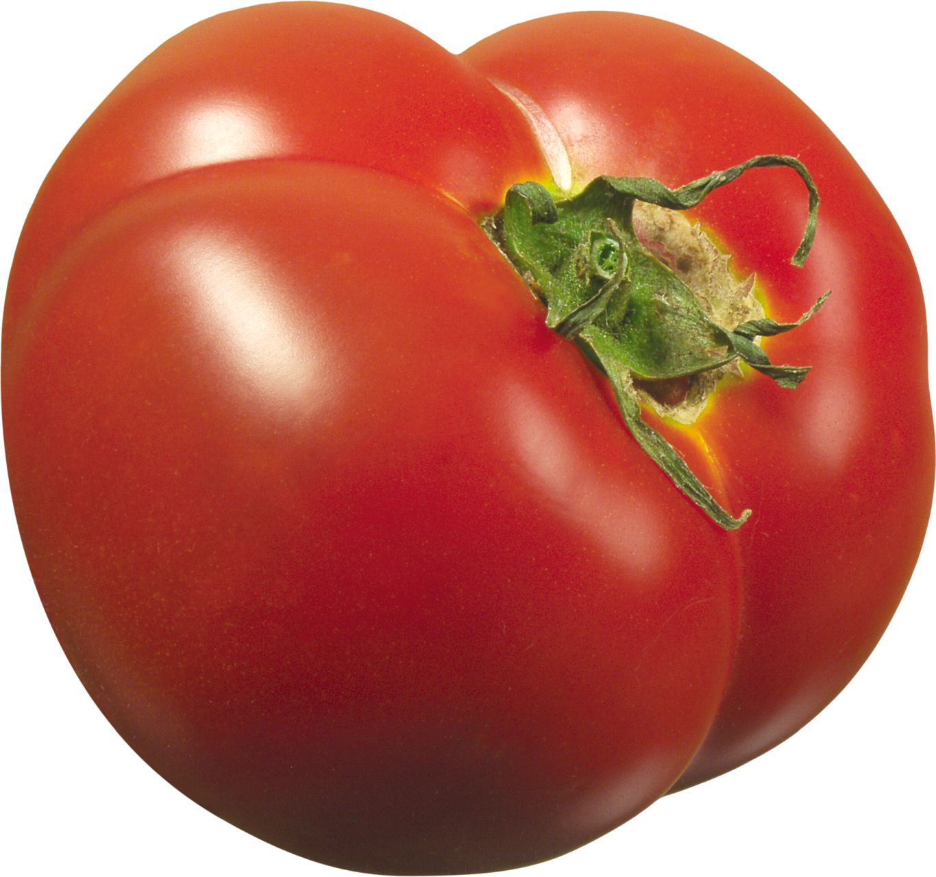 fresh big tomato PNG    图片编号:12547