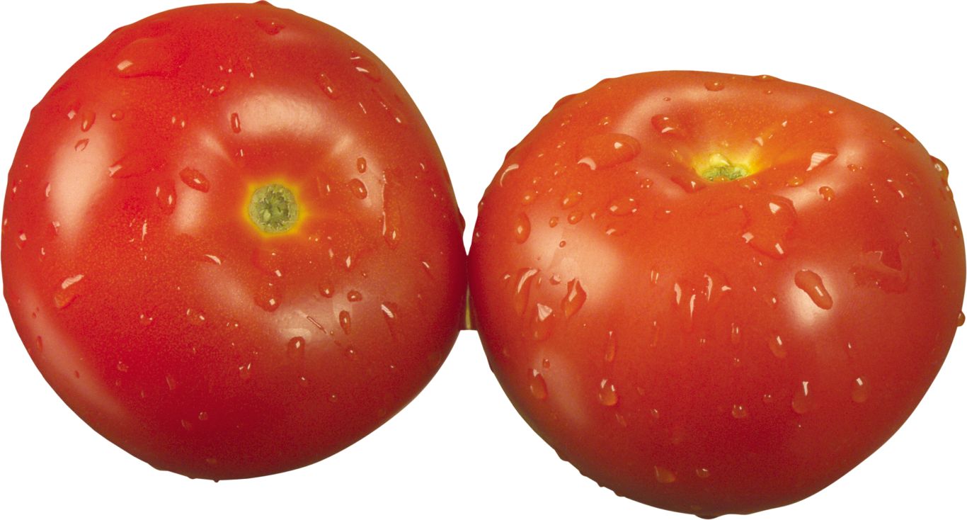 two tomatows PNG picture    图片编号:12550