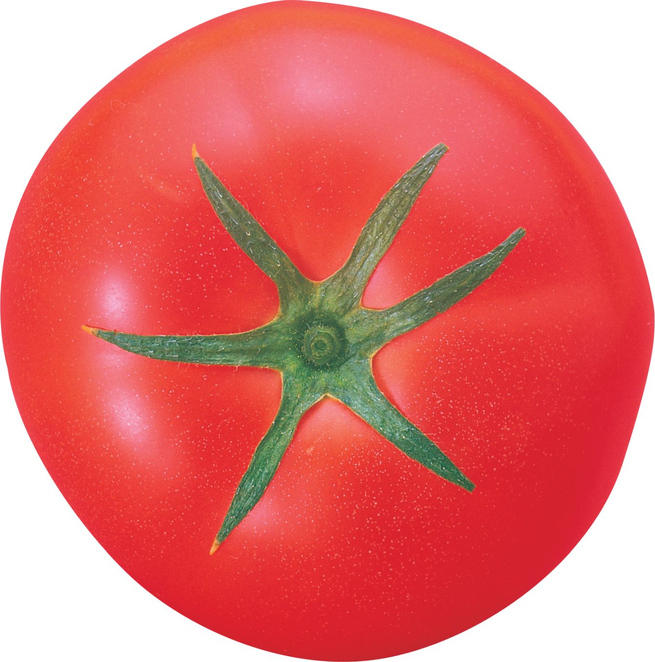 Tomato big PNG with transparent background    图片编号:12551