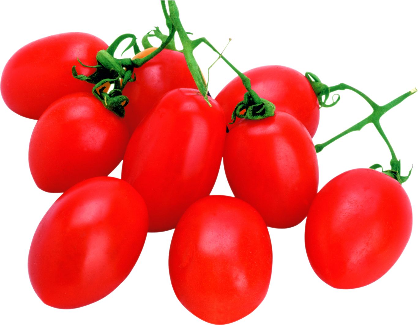 Tomatoes small PNG    图片编号:12552