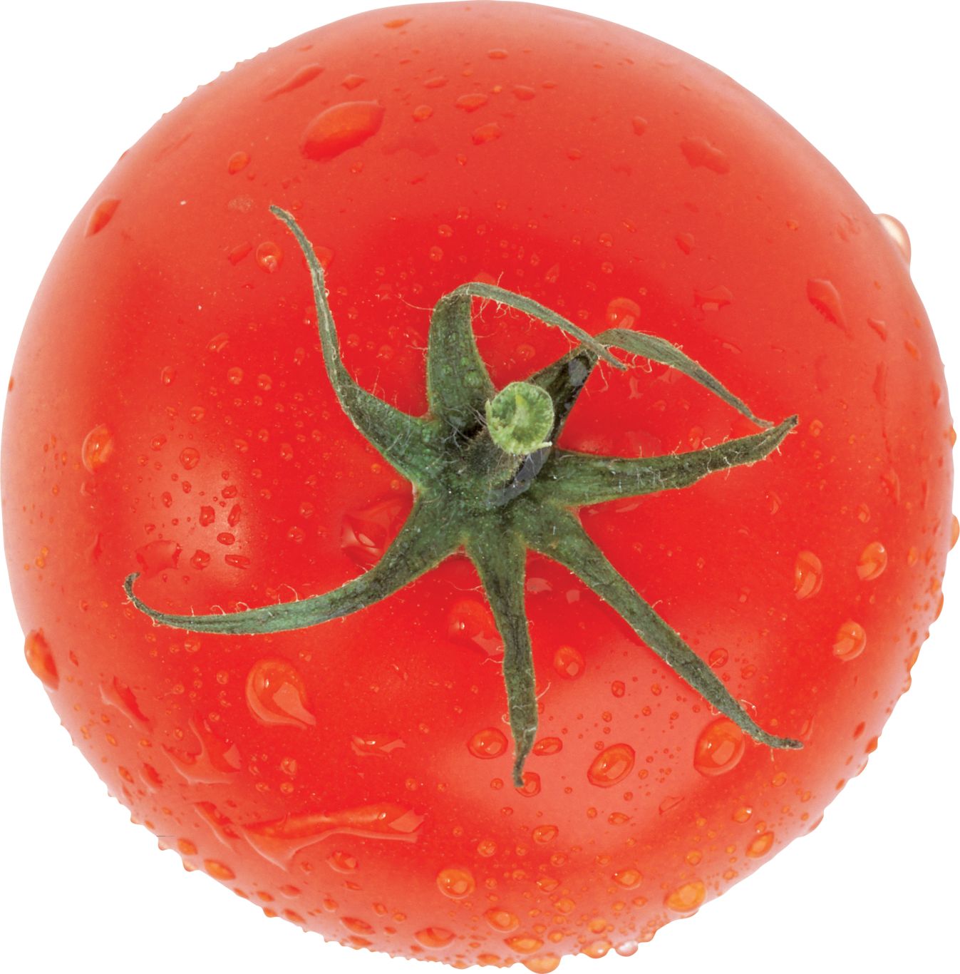 Tomato PNG image transparent    图片编号:12553
