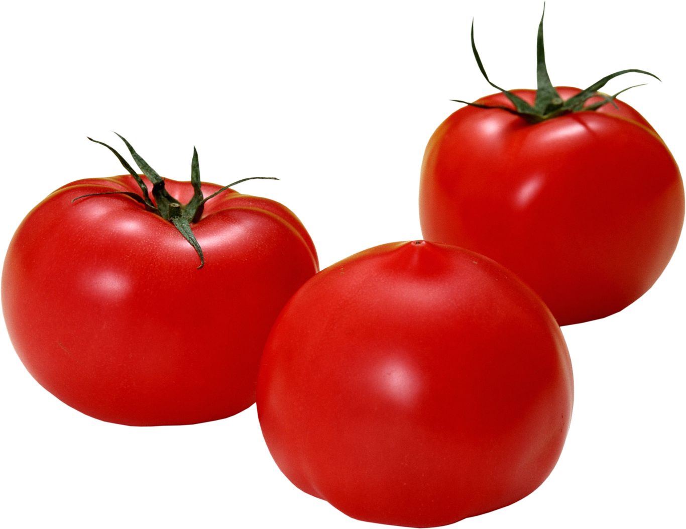 3 red tomatoes PNG    图片编号:12555