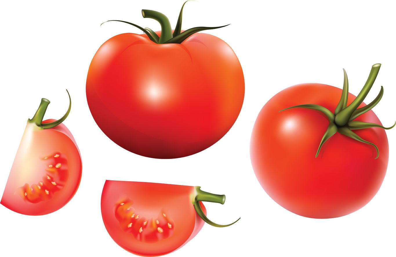 Cutted tomato with knife PNG    图片编号:12558