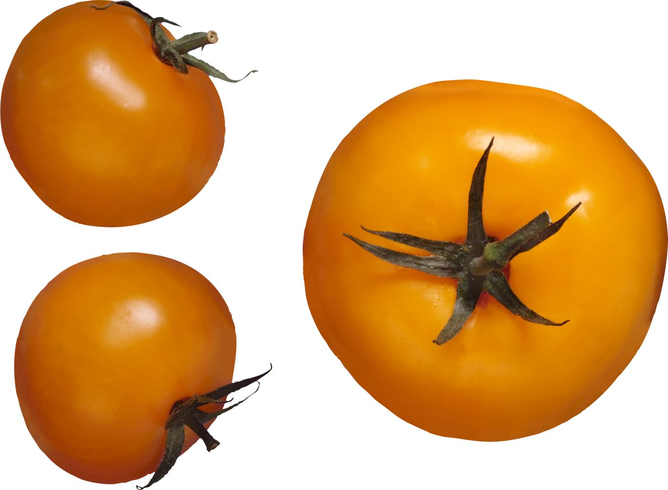 Yellow tomatoes PNG    图片编号:12561