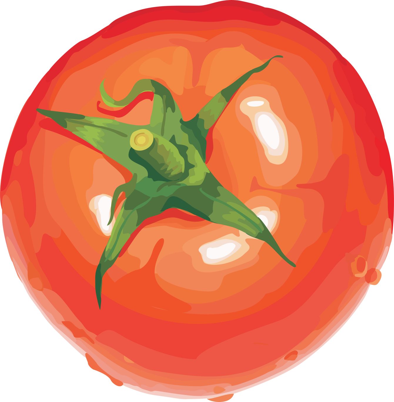 Tomato wet PNG    图片编号:12562