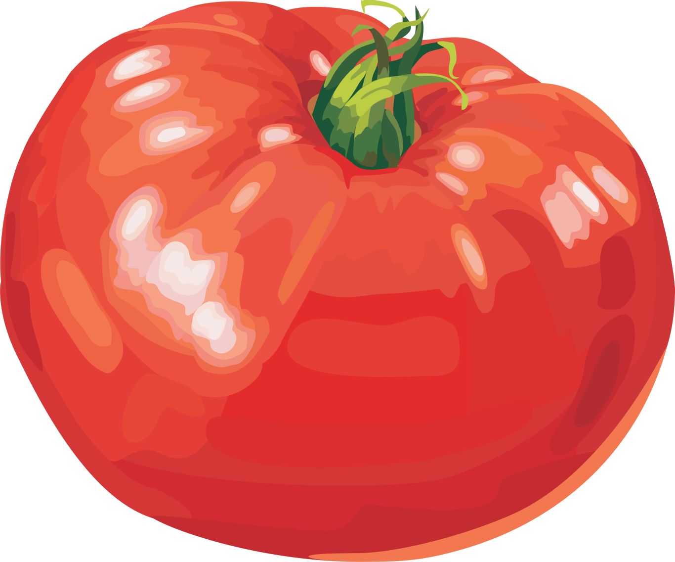 Tomato PNGpicture    图片编号:12563