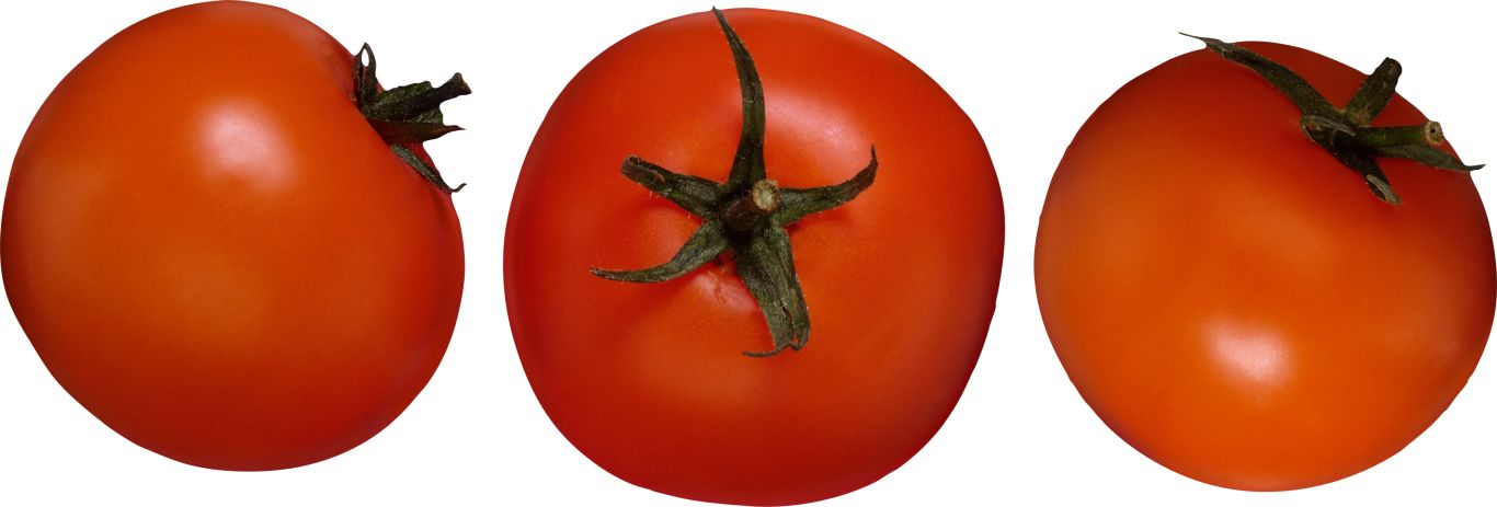 3 tomatoes PNG    图片编号:12565