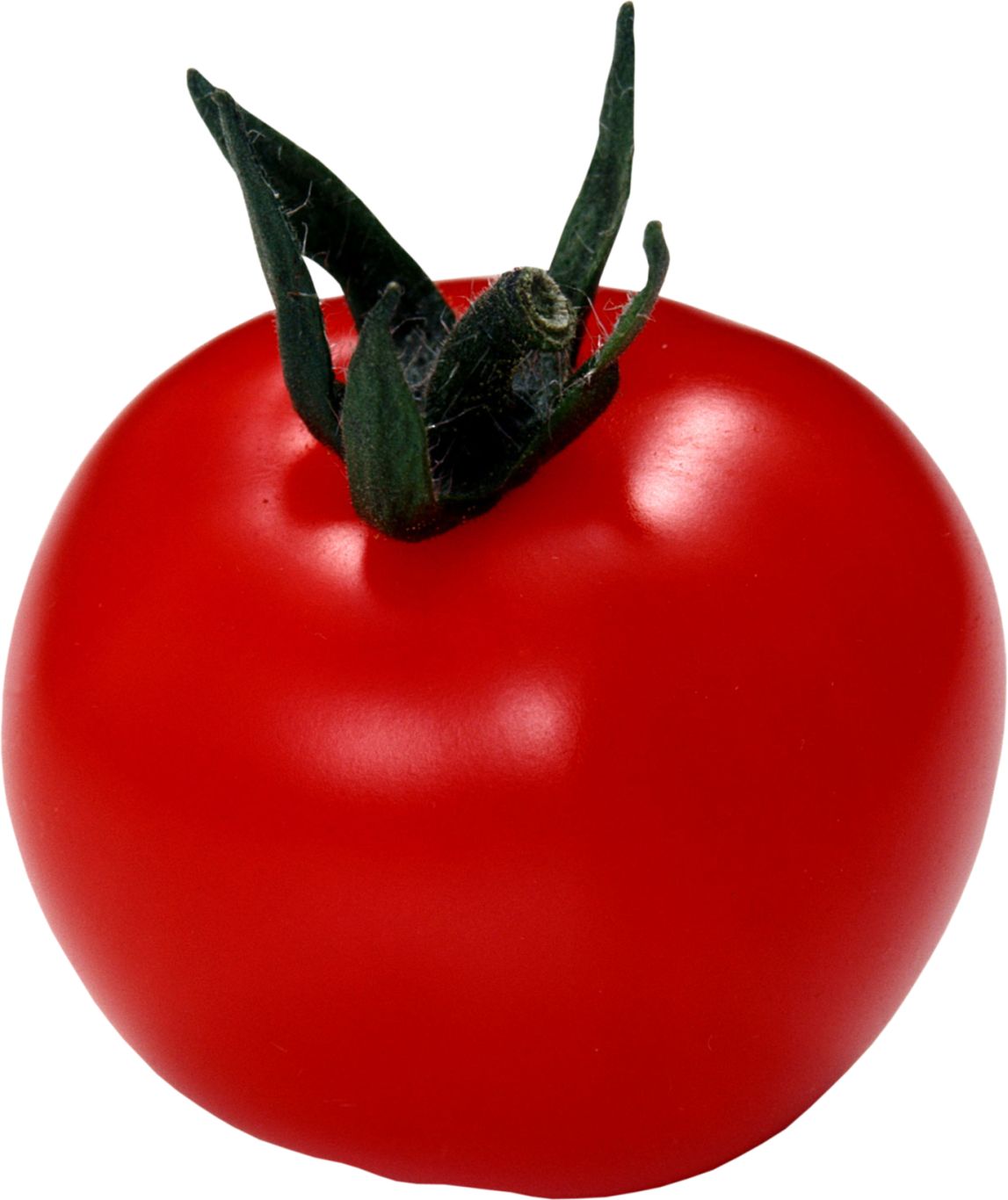 big red tomato PNG picture    图片编号:12568