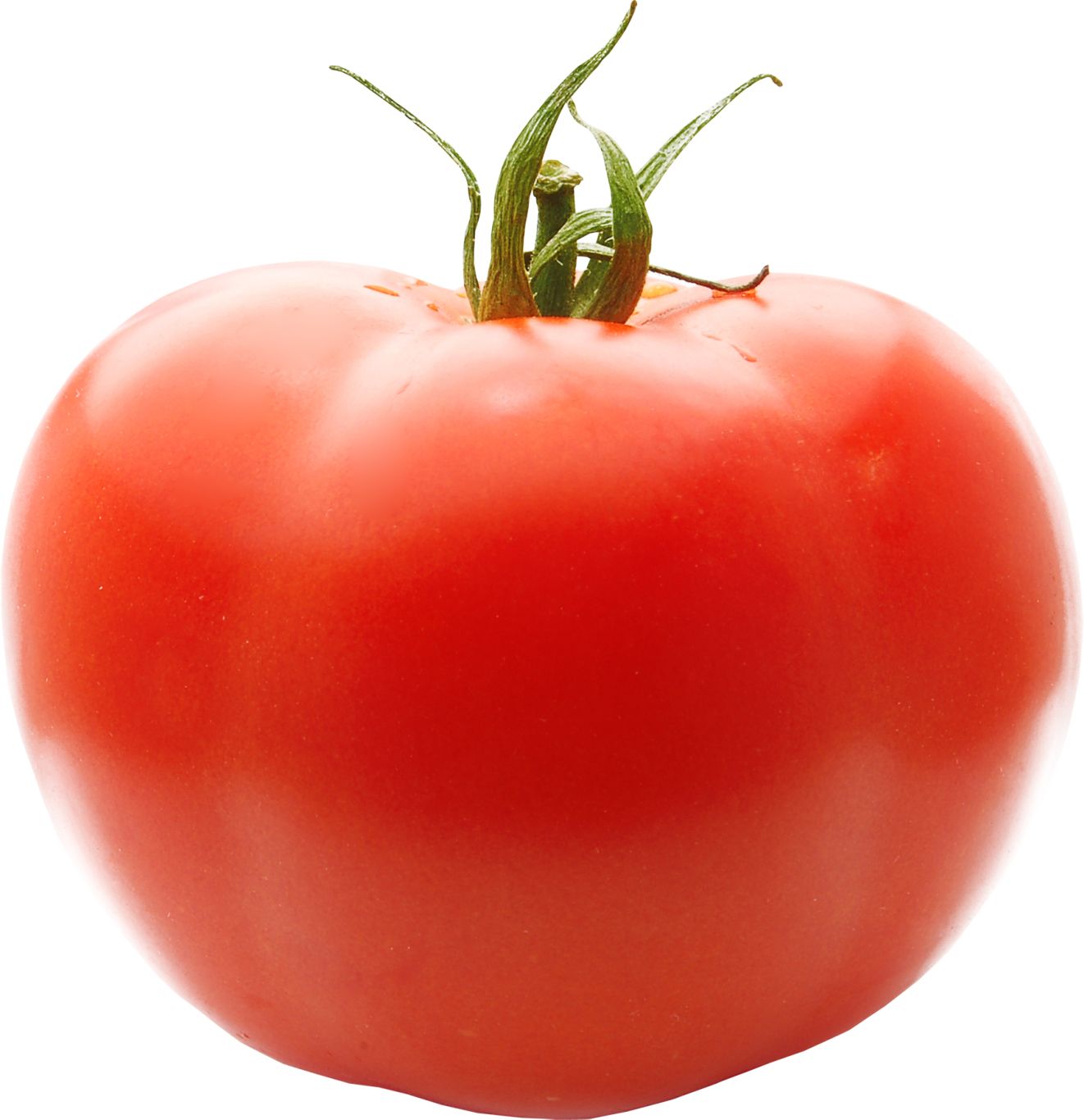 large red tomato PNG    图片编号:12570