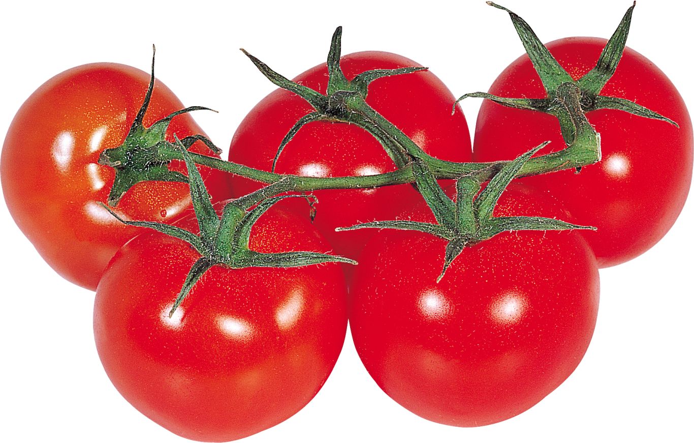 5 tomatoes PNG    图片编号:12571