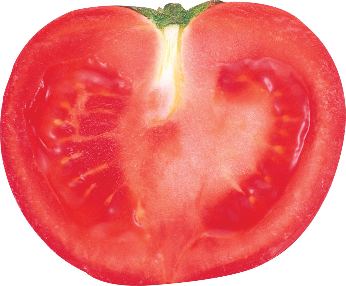 Cut tomato PNG    图片编号:12575
