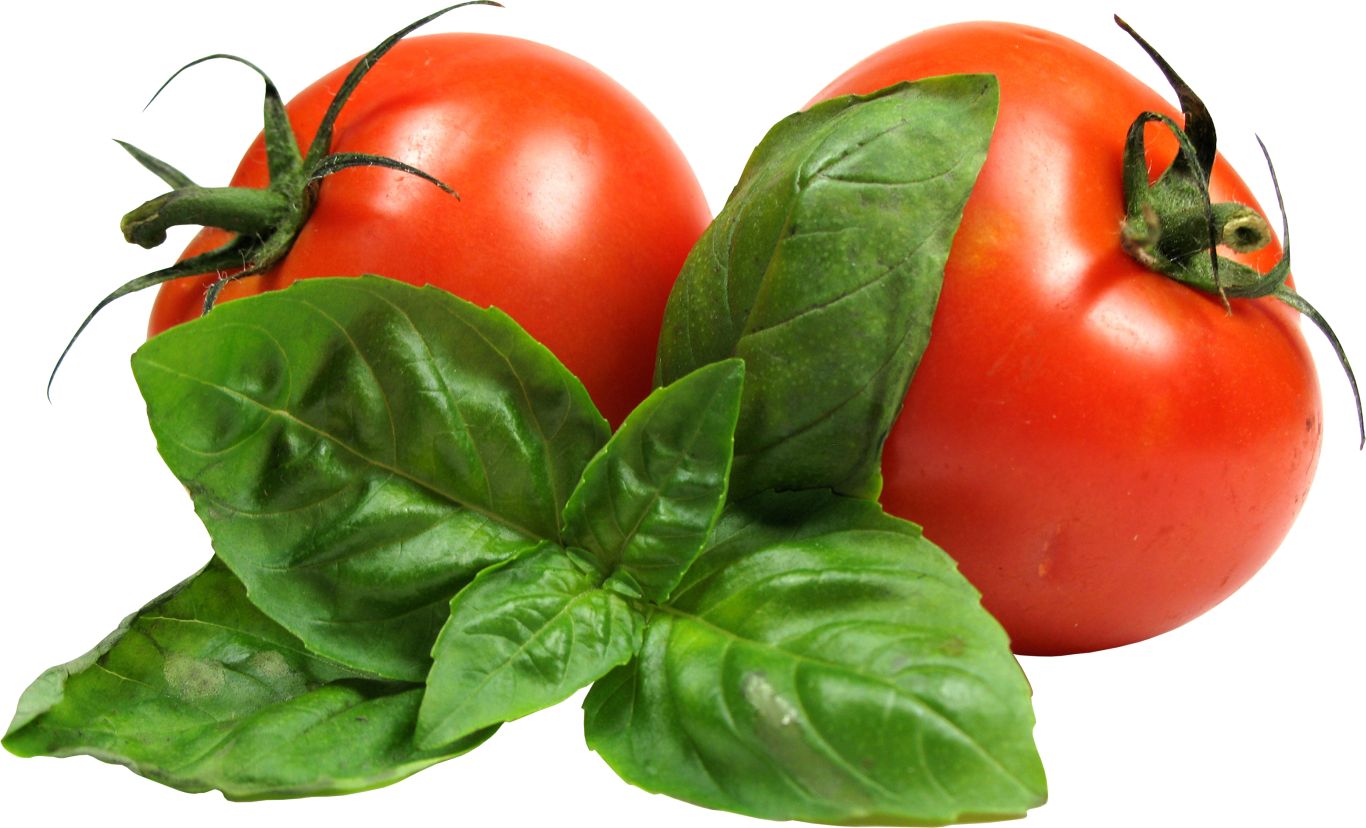 Tomatoes with leaves PNG image    图片编号:12585