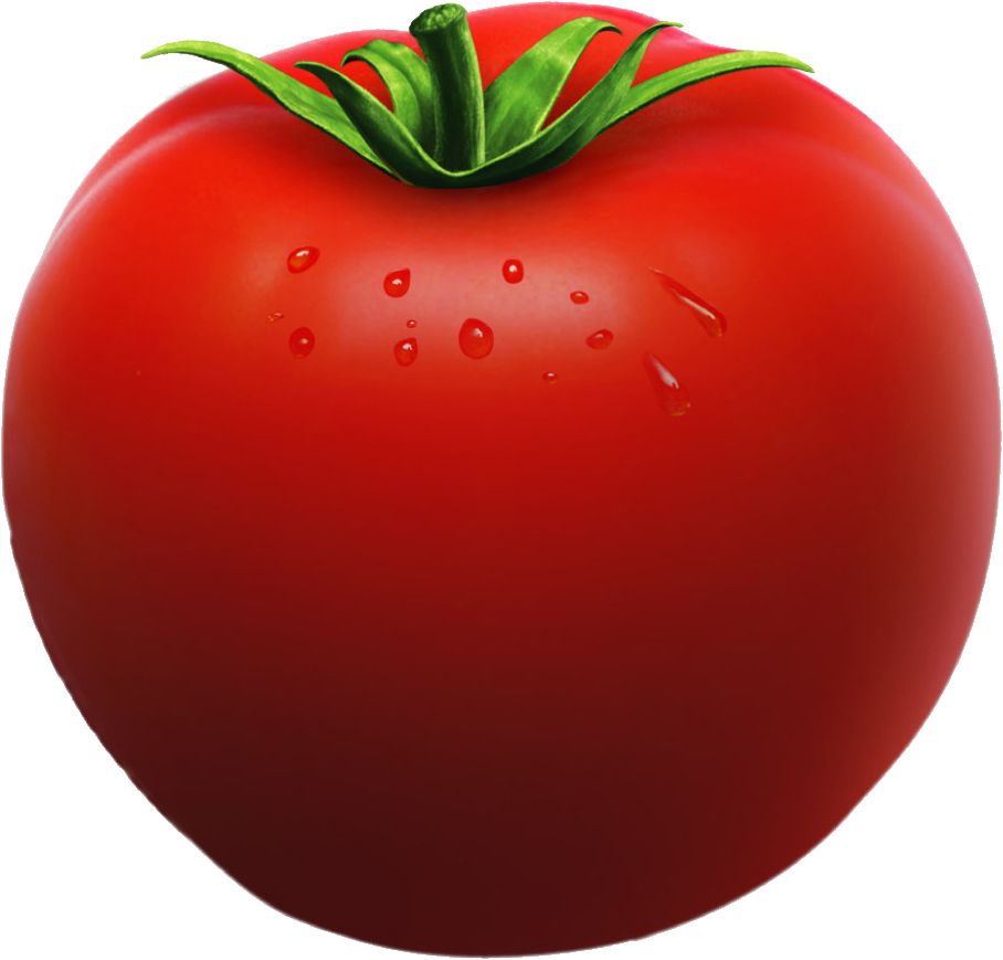 Tomato PNG image    图片编号:12591