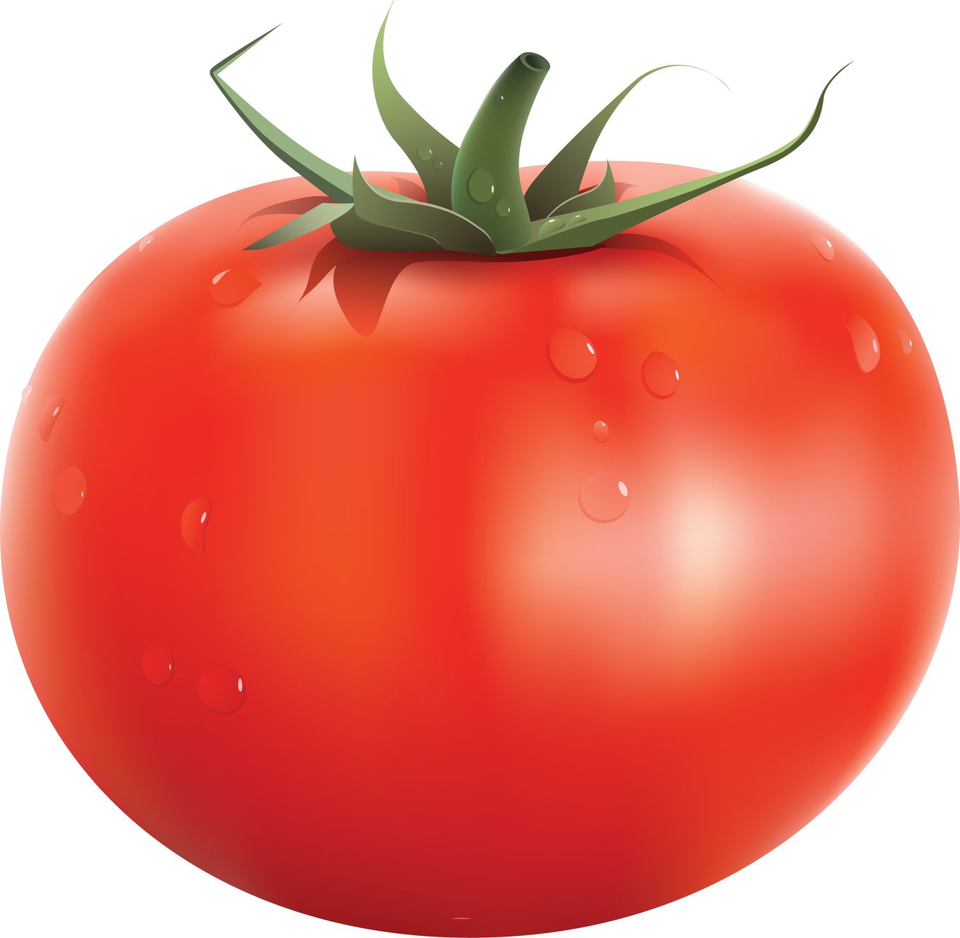 large red tomato PNG    图片编号:12592