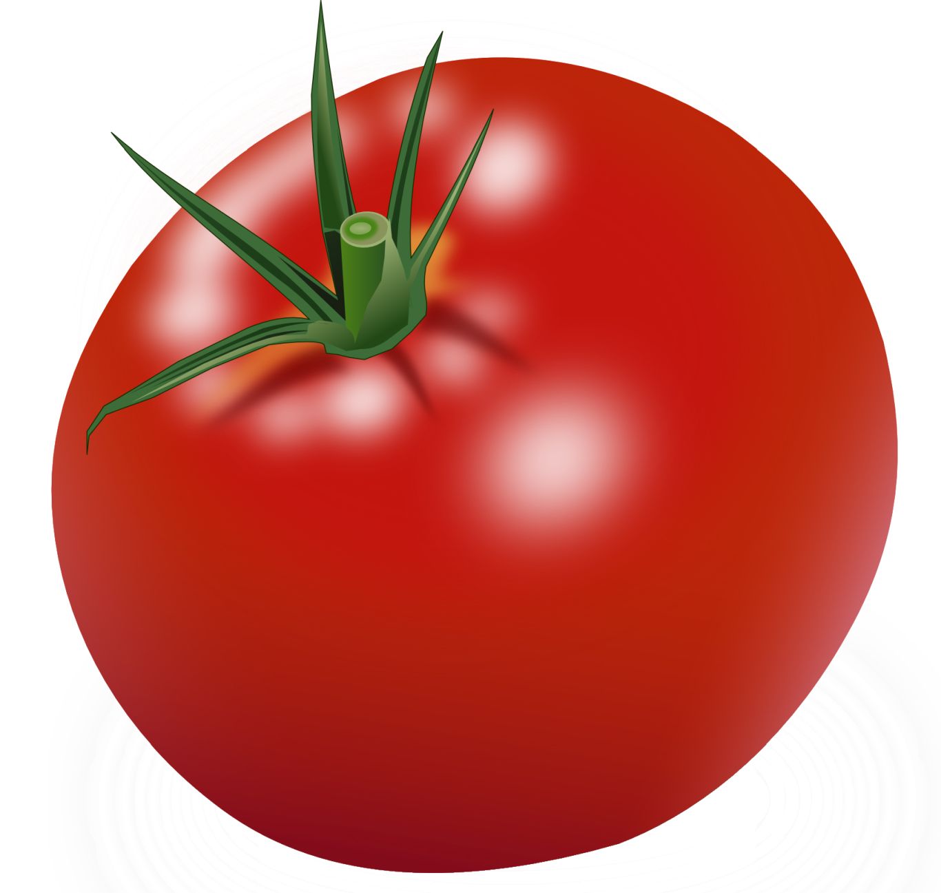 red big tomato PNG    图片编号:12595