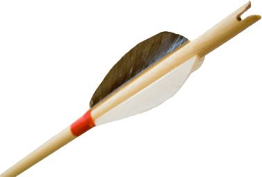 Arrow bow PNG    图片编号:27315