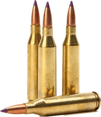 Bullets PNG image    图片编号:35493