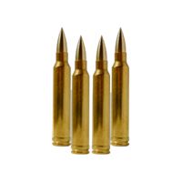 Bullets PNG image    图片编号:35504
