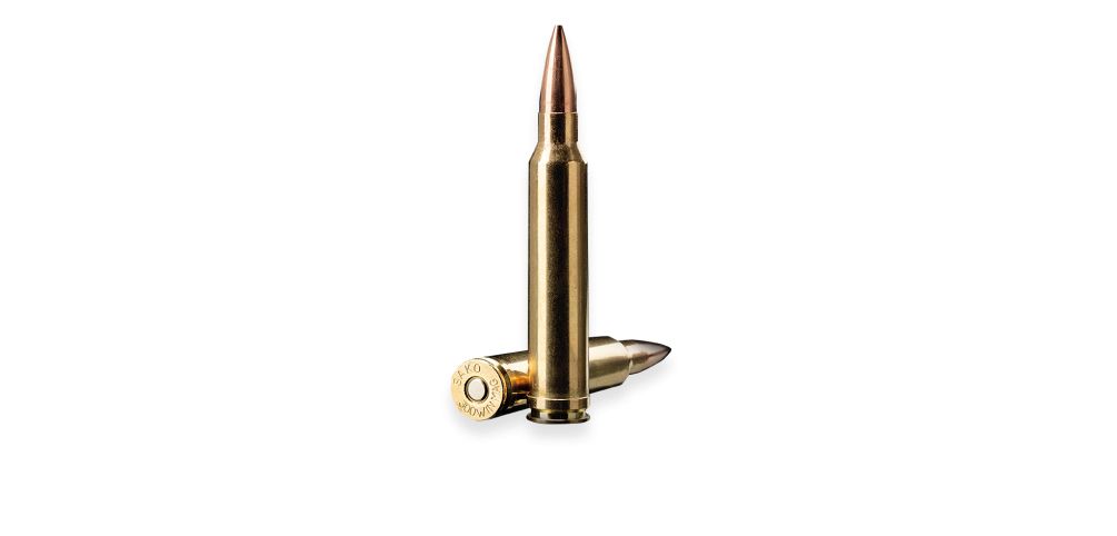 Bullets PNG image    图片编号:35510