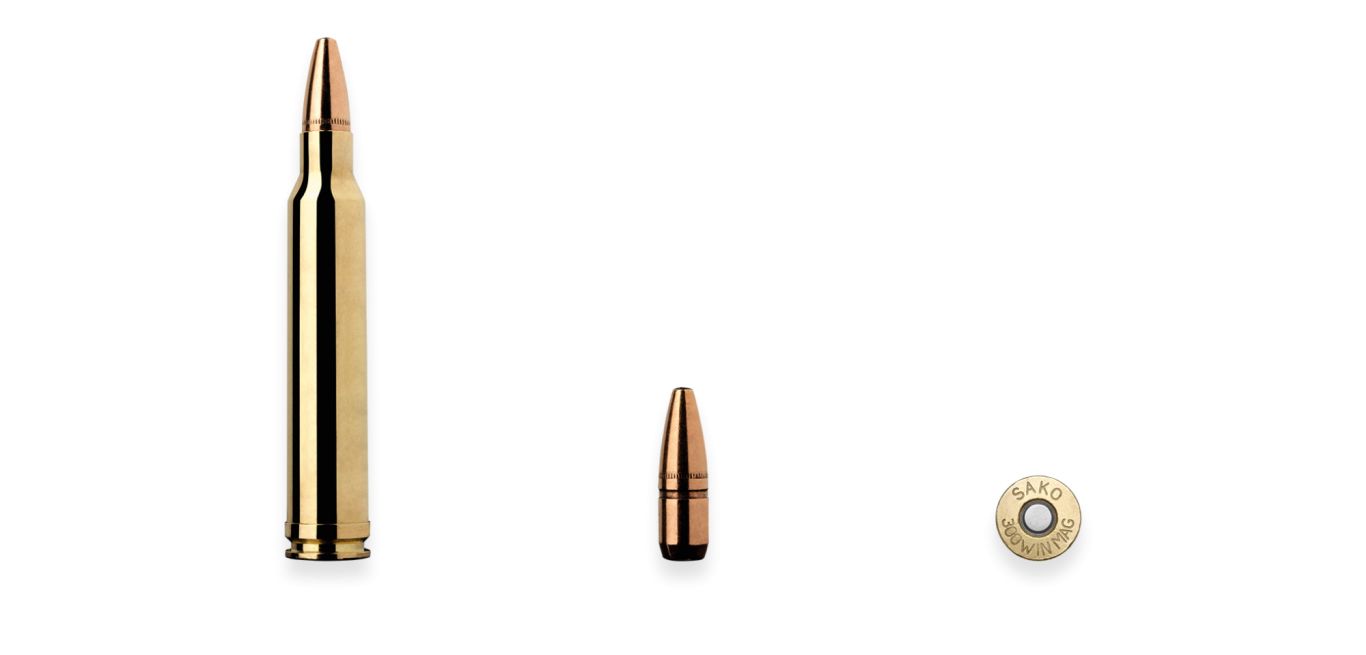 Bullets PNG image    图片编号:35511
