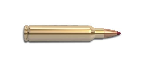 Bullets PNG image    图片编号:35538