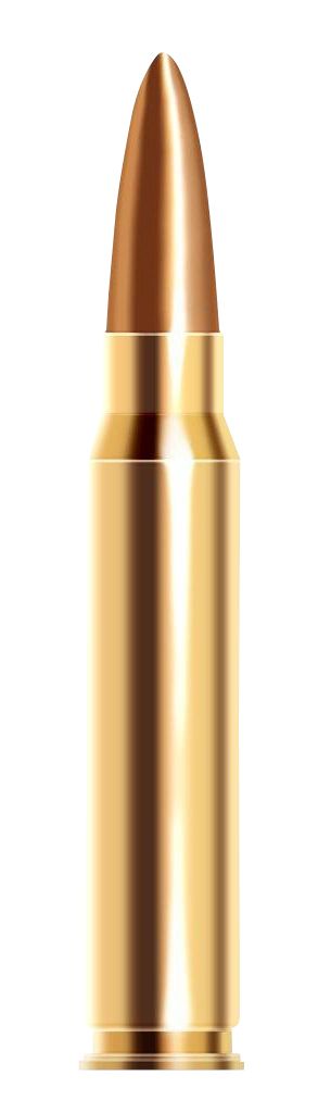 Bullets PNG image    图片编号:35568