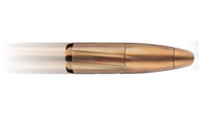 Bullets PNG image    图片编号:35611