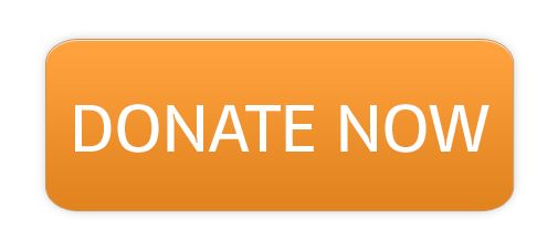 Donate PNG    图片编号:33045