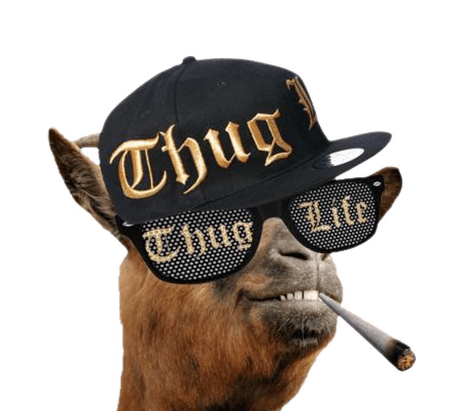 Thug life goat PNG    图片编号:58218