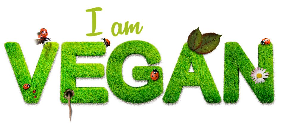 vegan icon PNG    图片编号:102733