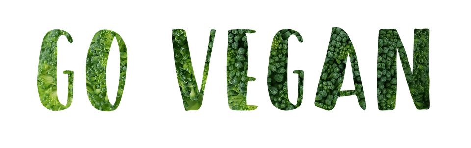 vegan icon PNG    图片编号:102734