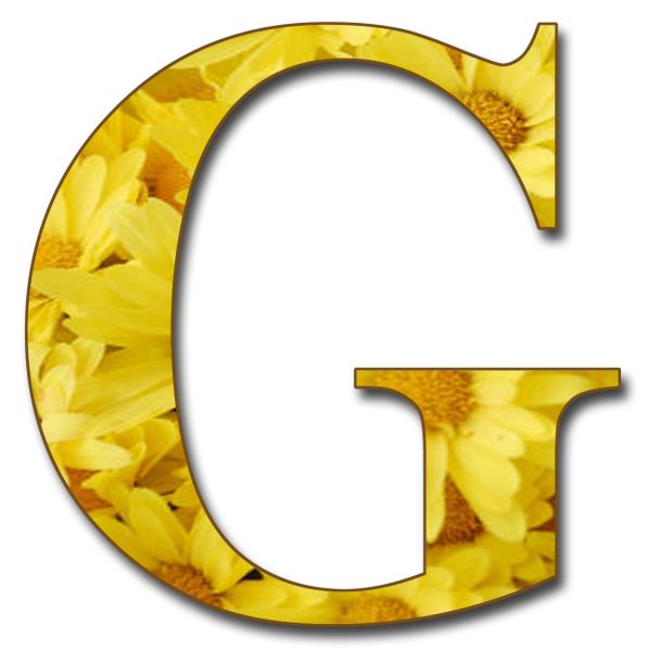 字母G PNG免抠图透明素材 16设计网编号:65214