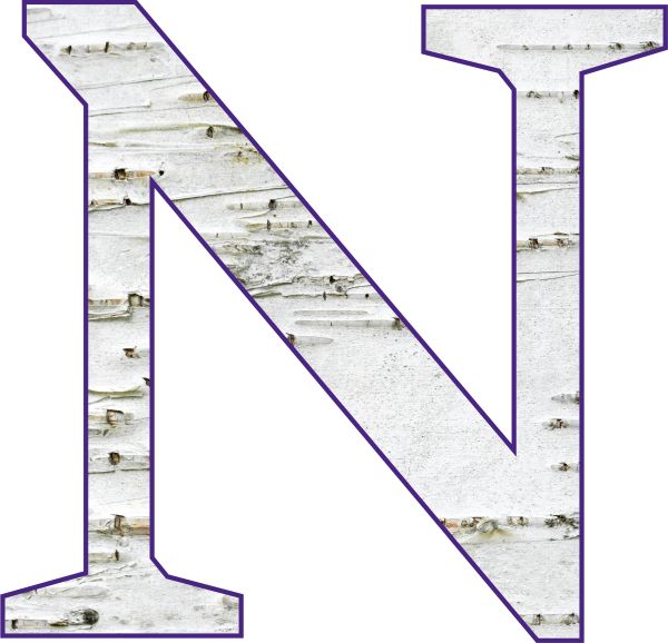 字母N PNG透明背景免抠图元素 16图库网编号:84188