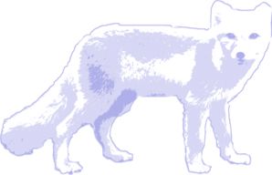 北极狐PNG透明背景免抠图元素 素材中国编号:41371