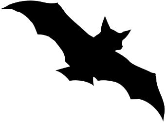 蝙蝠 PNG透明背景免抠图元素 16图库网编号:23750