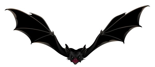 蝙蝠 PNG透明背景免抠图元素 16图库网编号:23758