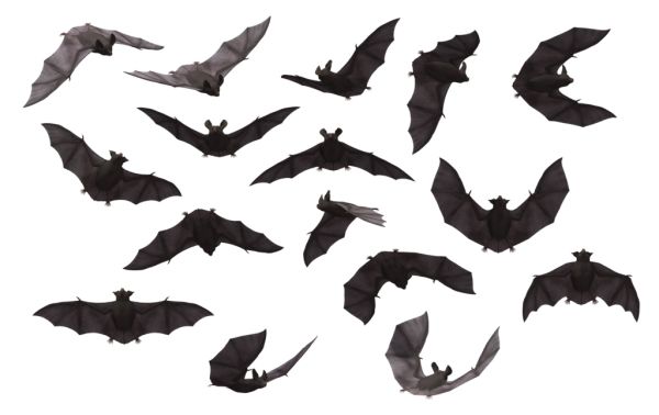 蝙蝠 PNG免抠图透明素材 16设计网编号:23765