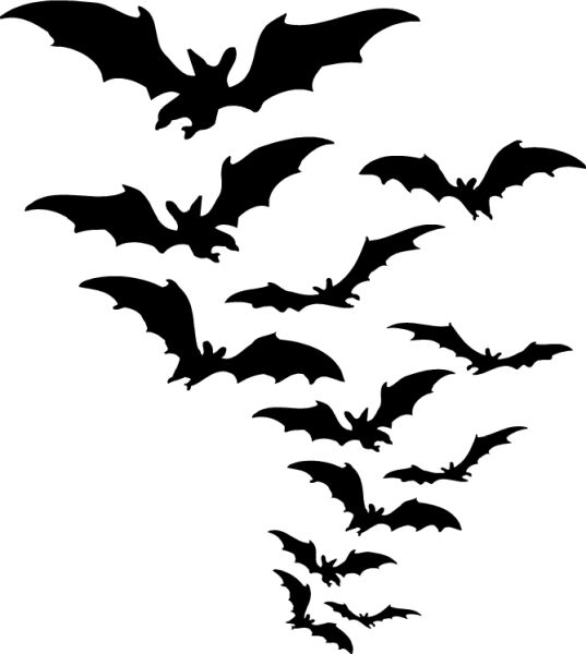 蝙蝠 PNG透明背景免抠图元素 16图库网编号:23768