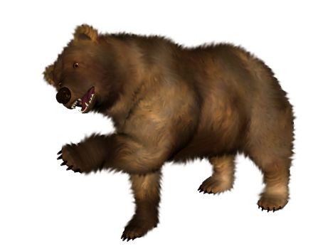 棕熊PNG免抠图透明素材 普贤居素材编号:1189