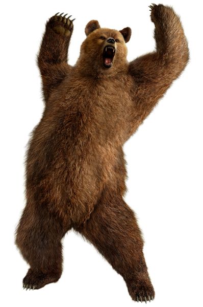 棕色小熊PNG免抠图透明素材 素材天下编号:1200