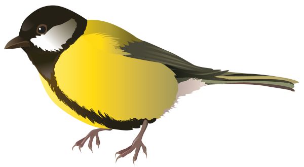 鸟 PNG免抠图透明素材 16设计网编号:19995