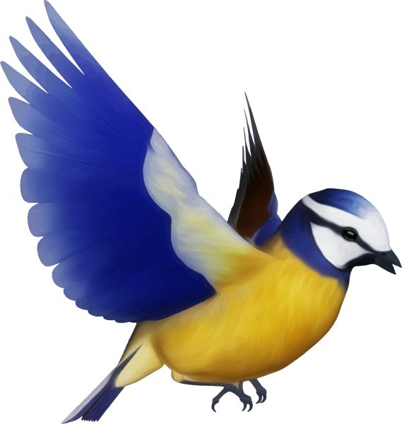 鸟 PNG免抠图透明素材 16设计网编号:20034