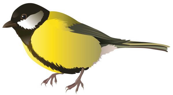 鸟 PNG透明背景免抠图元素 16图库网编号:20054